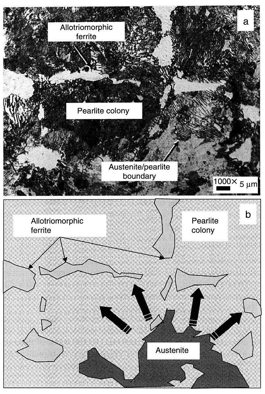 Austenite forming inside pearlite colonies and growing back into the ferrite when a ferrite-pearlite steel is held in the intercritical range, 1000x, with the growth mechanism drawn below
