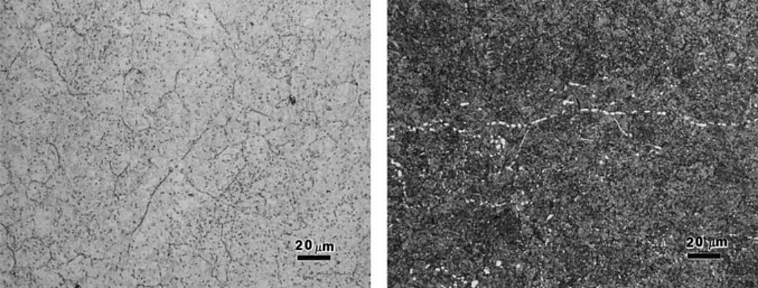 Type 420 stainless steel grain boundary carbide networks, Vilella's and Beraha's etch, 500x