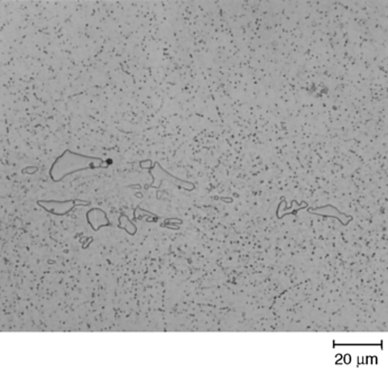 AISI H13 die steel carbides in a segregation band, 2% nital, 500x