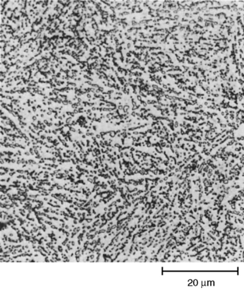 AISI S7 tool steel spheroidize annealed, 4% picral, 1000x