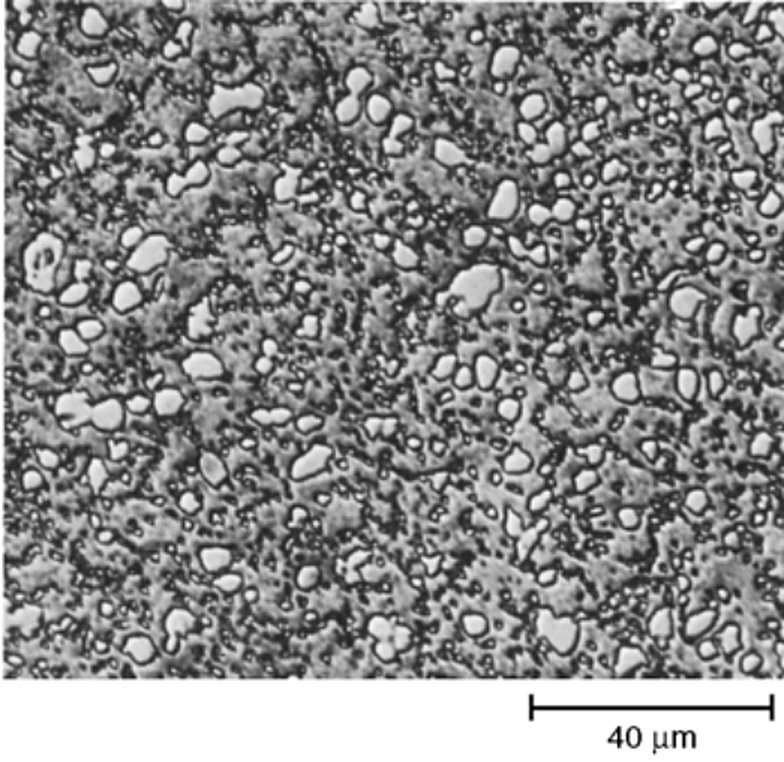 AISI H23 tool steel annealed, alloy carbide particles in ferrite, Kalling's reagent, 500x