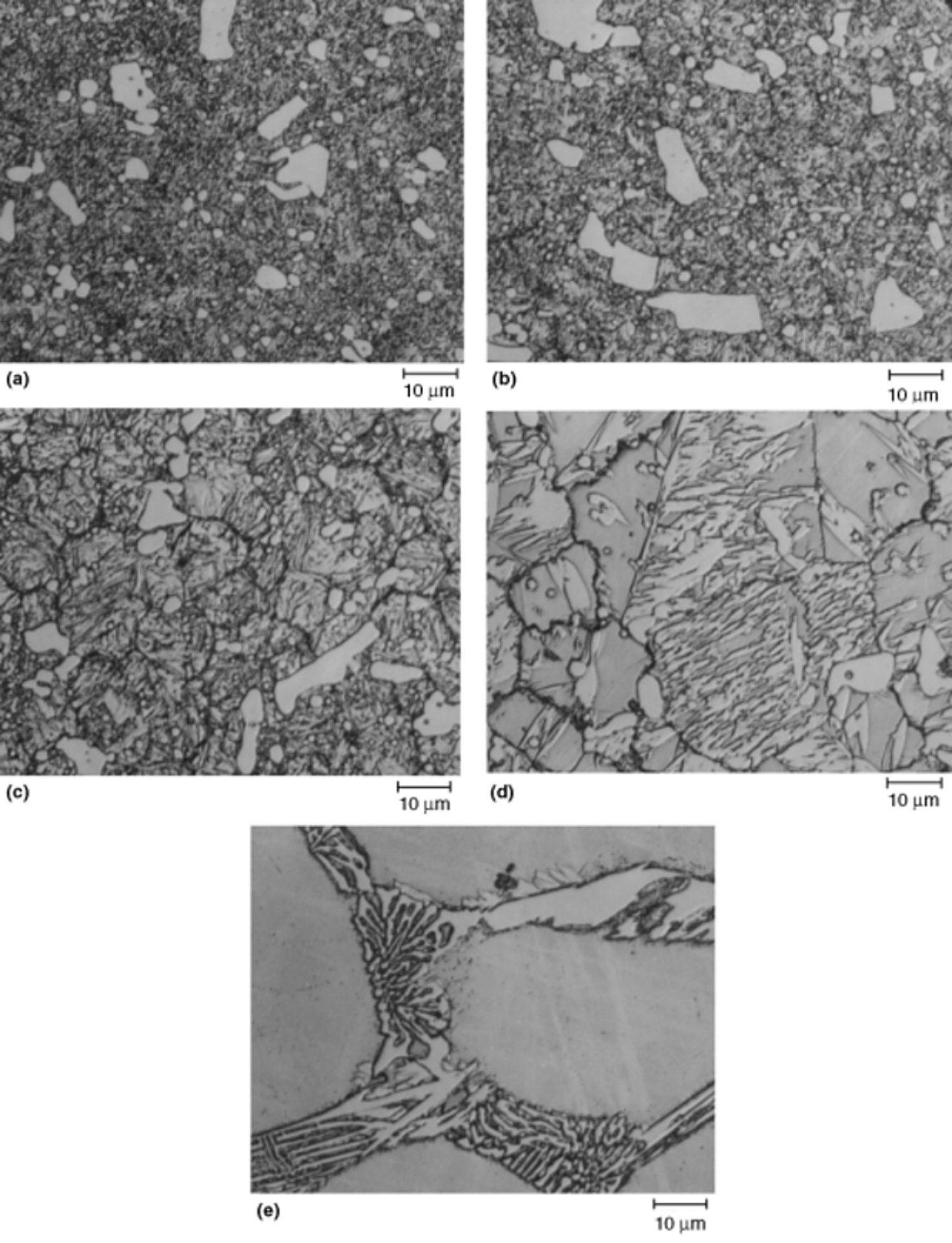 AISI D2 tool steel microstructure after air quenching from five austenitizing temperatures, Vilella's etch, 1000x