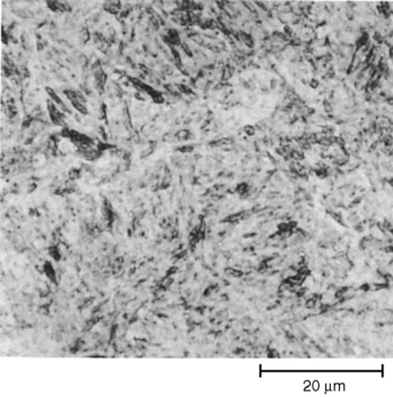 AISI S7 tool steel hardened at 940 C and tempered at 200 C, martensite, Vilella's reagent, 1000x