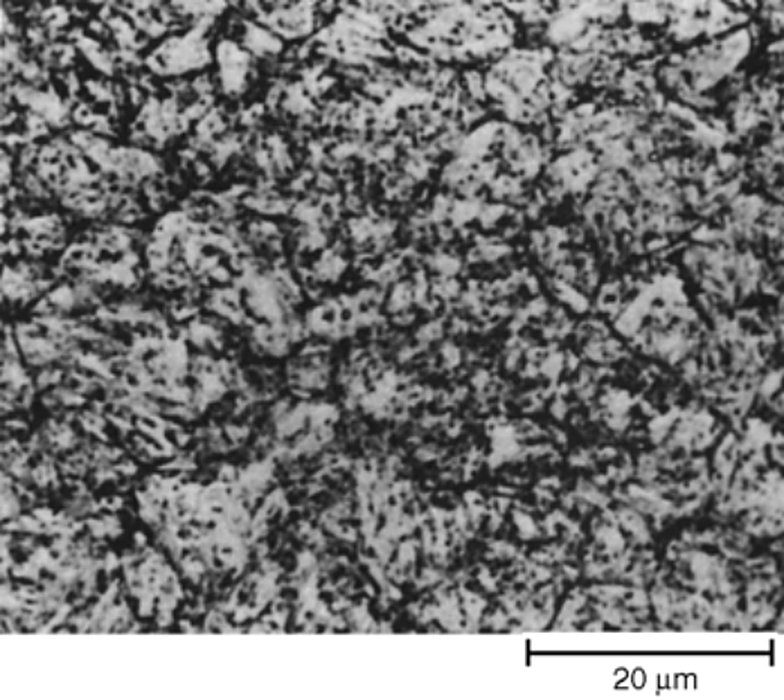 AISI H13 tool steel hardened at 1025 C and double tempered at 595 C, 42 HRC, 2% nital, 1000x