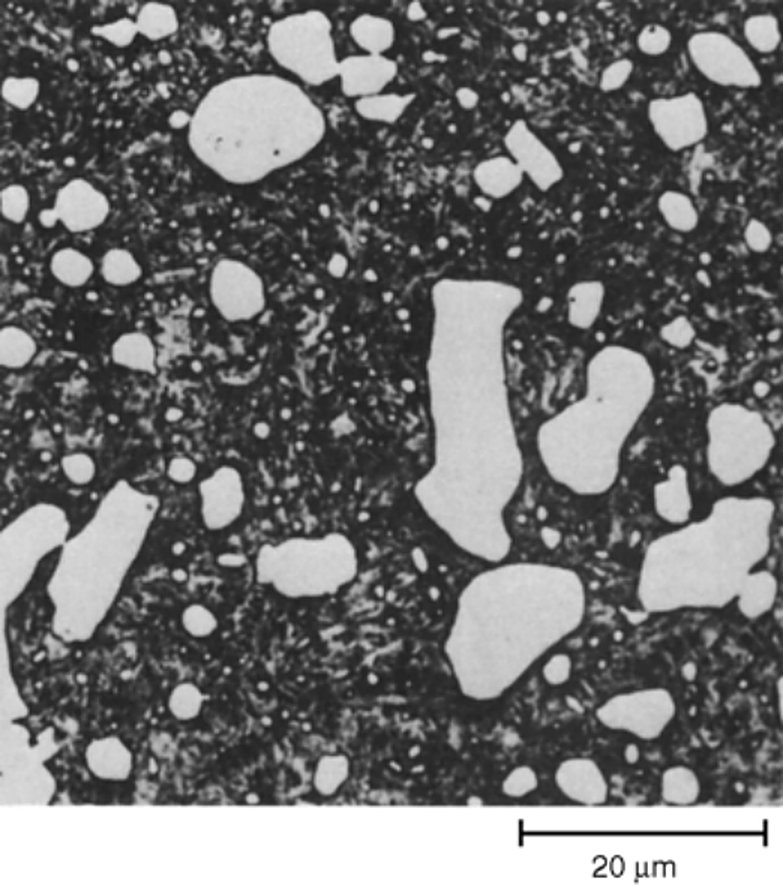 AISI D3 tool steel hardened and tempered at 200 C, martensite and undissolved carbide, 1000x