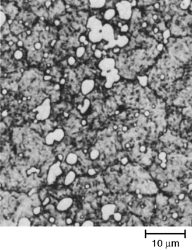 AISI M2 high speed steel hardened at 1120 C and double tempered at 480 C, Vilella's reagent, 1000x