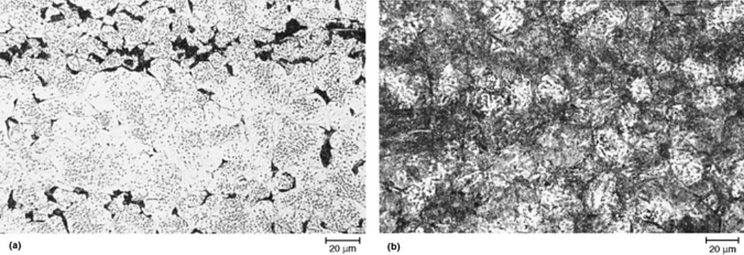 AISI S7 tool steel isothermally transformed at 704 C for 30 minutes and 4 hours, picral, 500x