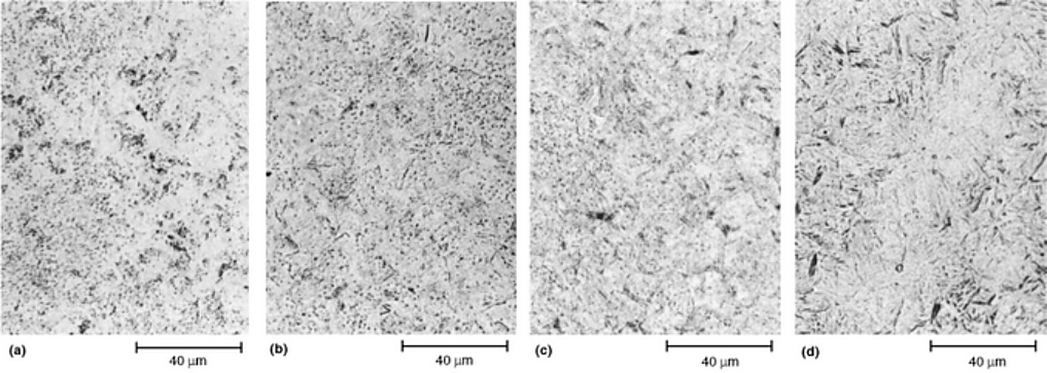 AISI S7 tool steel austenitized at 915, 925, 940 and 955 C, under and overaustenitized, 4% picral, 500x