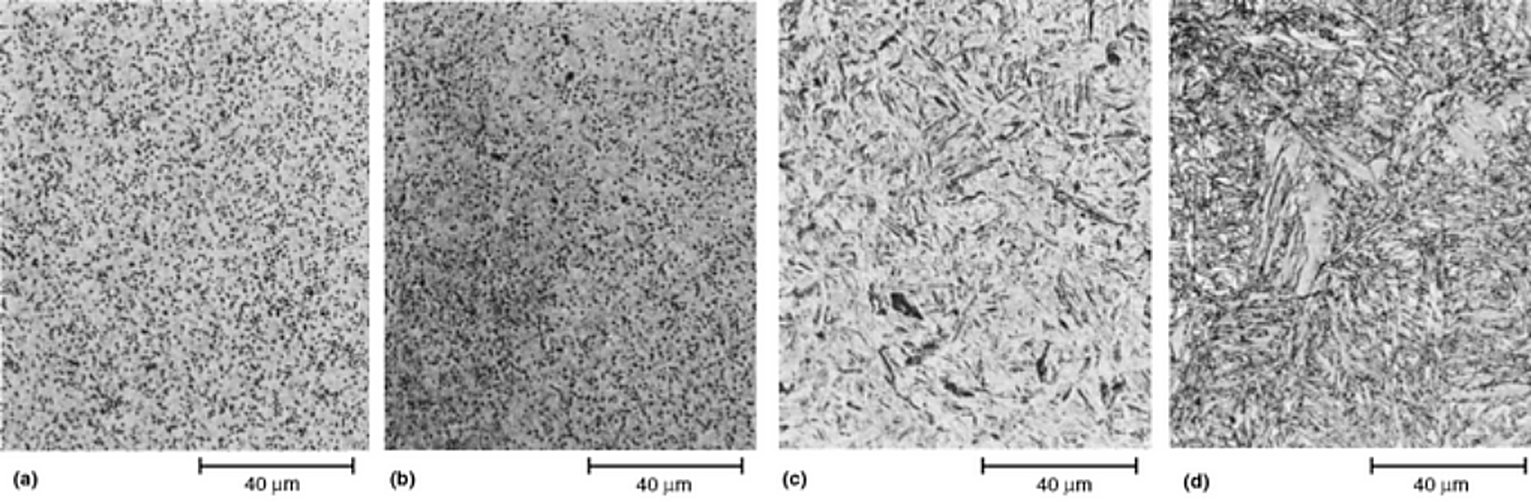 AISI O1 tool steel austenitized at 800, 870, 980 and 1100 C with grain size and retained austenite, 4% picral, 500x