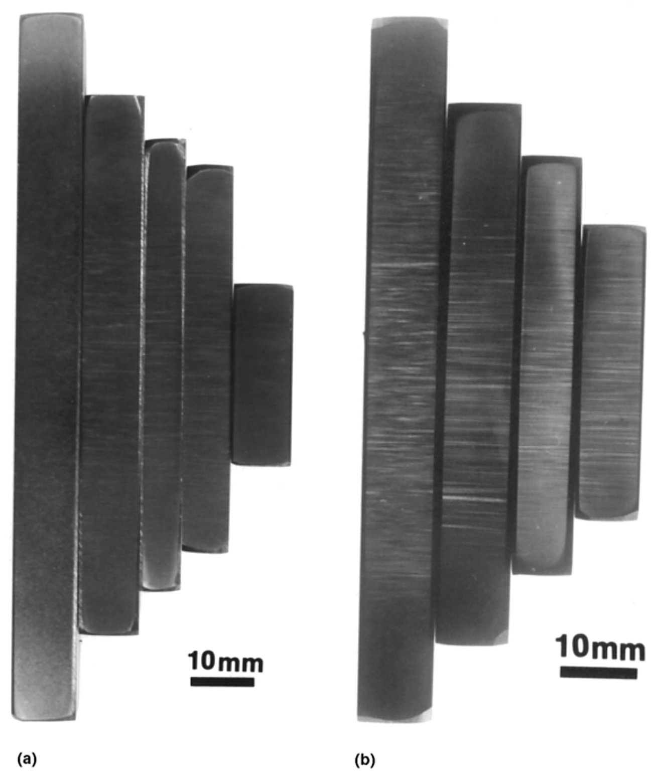 Macroetched longitudinal discs of M2 and T1 high speed steel showing carbide distribution by diameter, 10% nital