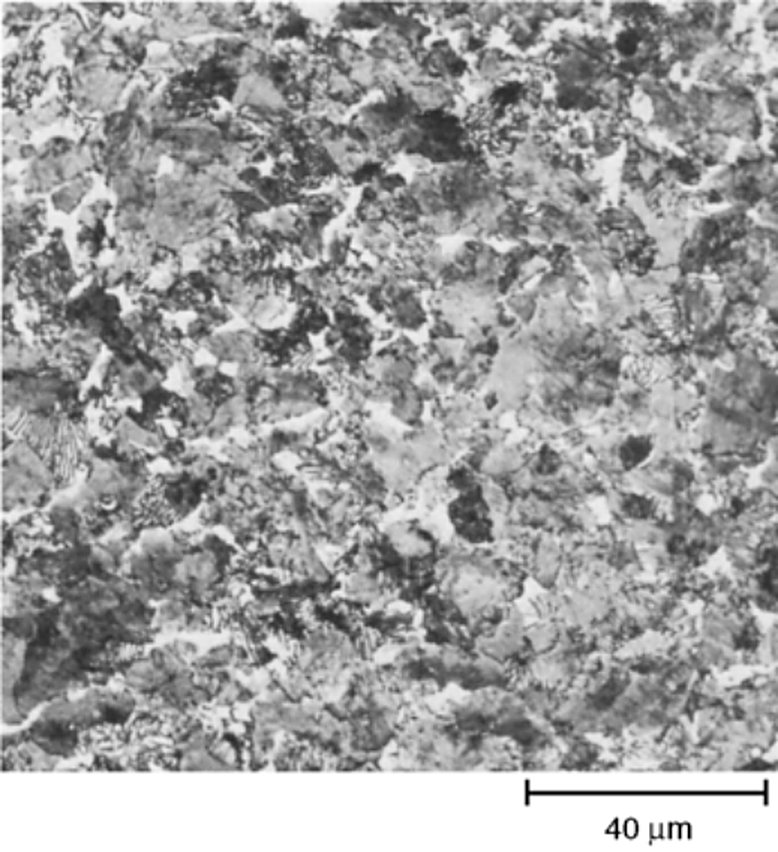 AISI S4 tool steel as-rolled with ferrite and pearlite after slow cooling, 4% picral, 500x