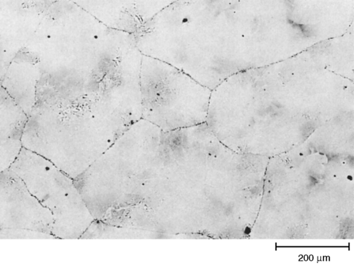 AISI L1 tool steel as-rolled, pearlite with grain boundary cementite network, 100x