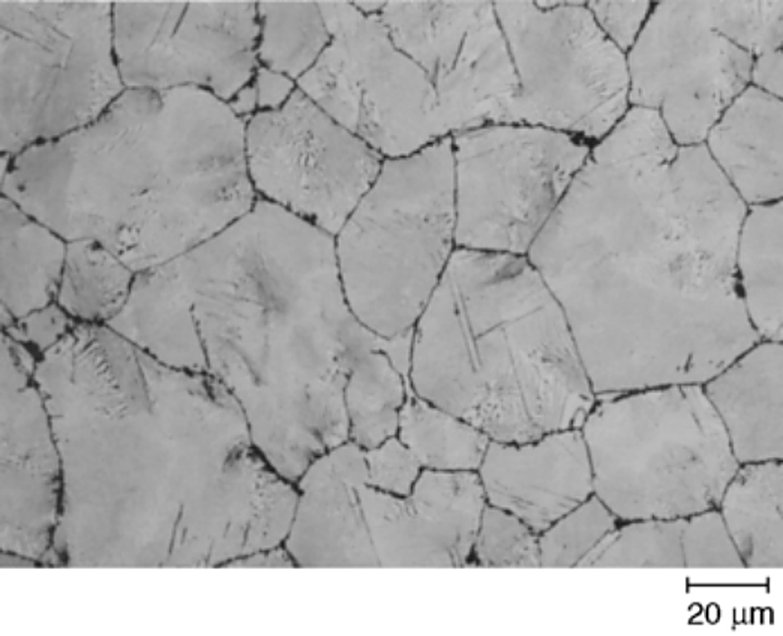 Grain boundary carbide networks after cooling from the hot rolling temperature, alkaline sodium picrate, 500x