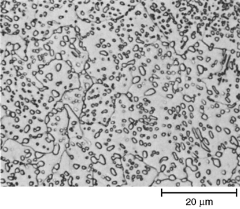 AISI W4 tool steel fully annealed, spheroidal cementite with no lamellar pearlite, 170 HB, 1000x