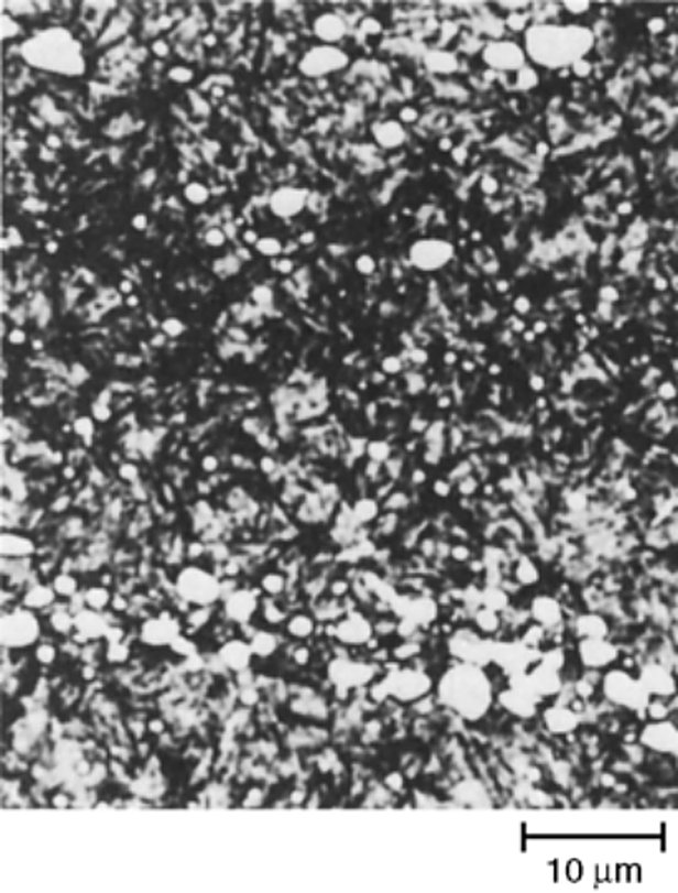 AISI M1 high speed steel hardened at 1175 C and triple tempered at 480 C, 62 HRC, 2% nital, 1000x