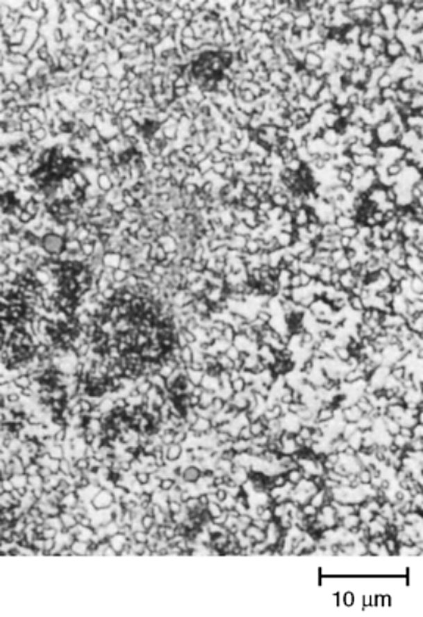 Powder metallurgy T15 high speed steel after hot isostatic pressing, partially annealed, 3% nital, 1000x