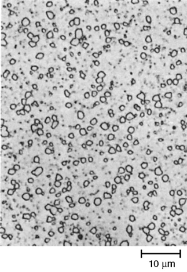 Powder metallurgy T15 high speed steel forged and fully annealed, 3% nital, 1000x