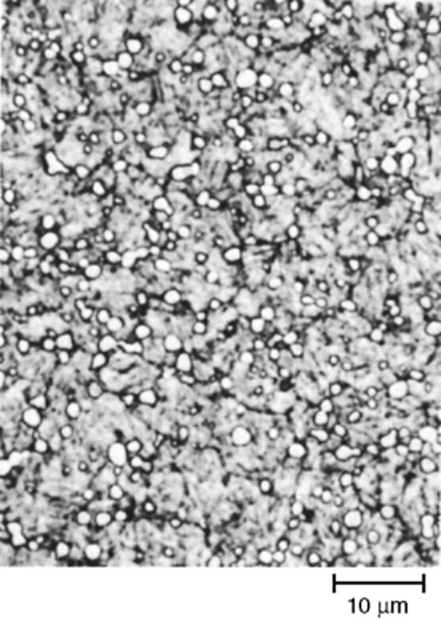 Powder metallurgy T15 high speed steel hardened at 1230 C and triple tempered at 540 C, 65 HRC, 1000x