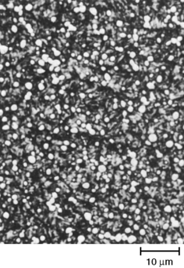 Powder metallurgy T15 high speed steel etched in HCl and metabisulfite reagent, 1000x