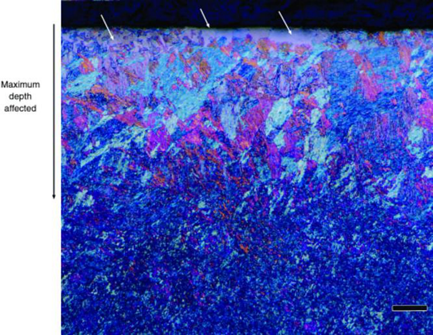 Decarburized surface of hardened type 420 stainless steel, free ferrite and tint etched martensite