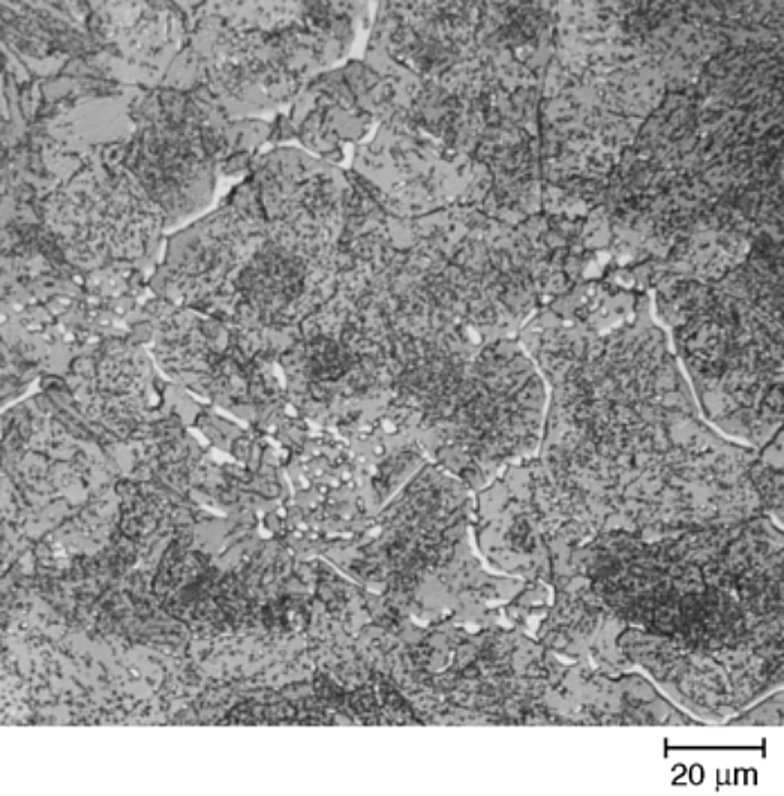 Annealed 420 stainless steel grain boundary carbides tint etched with Beraha's sulfamic acid reagent