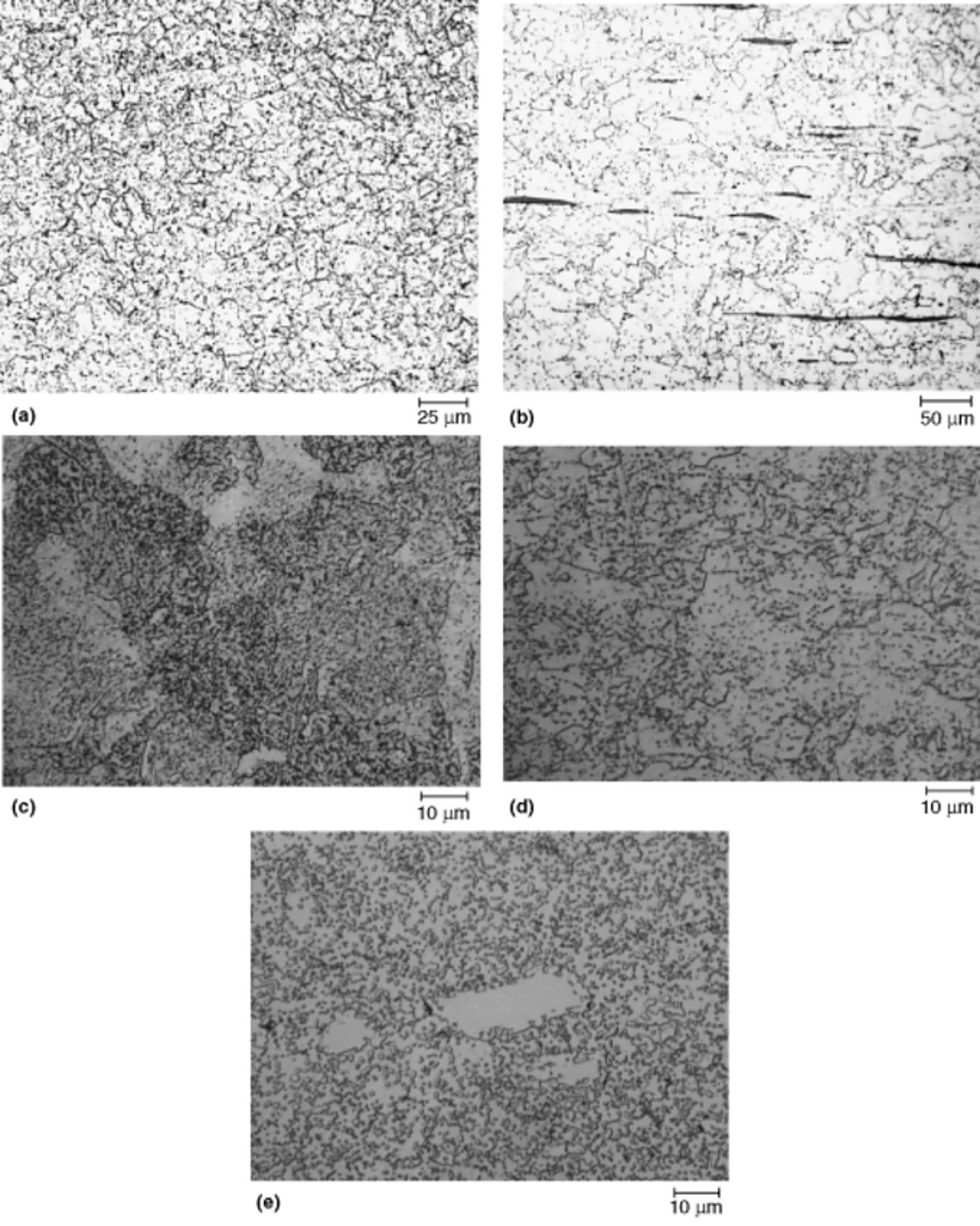 Annealed martensitic stainless steel microstructures in 403, 416, 420 and 440C with their etchants
