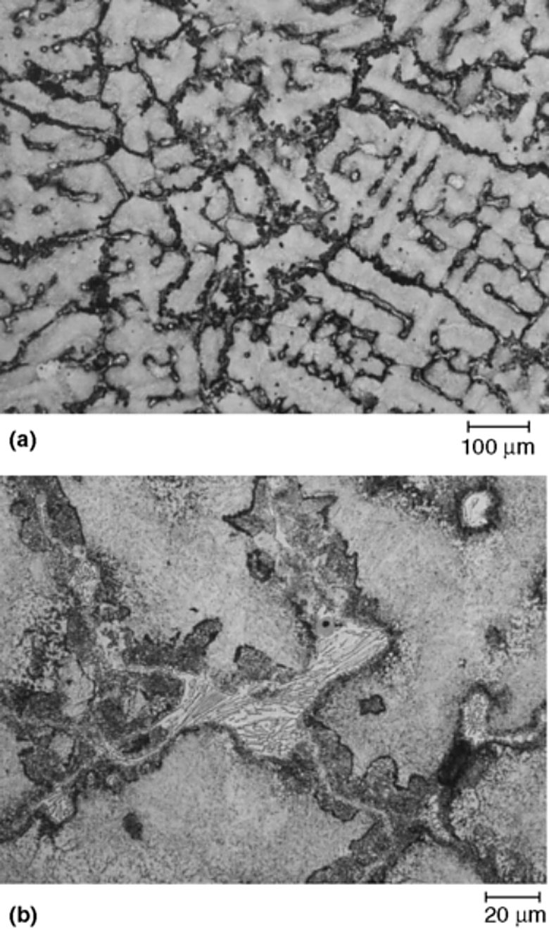 As-cast 440C stainless steel with eutectic carbide in the interdendritic regions, Ralph's reagent