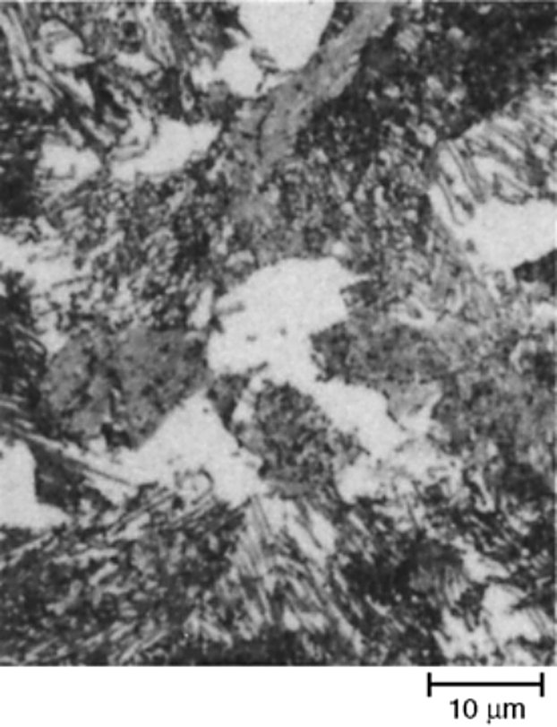 AISI S5 tool steel isothermally transformed at 595 C for 8 hours, ferrite and fine pearlite, 1000x