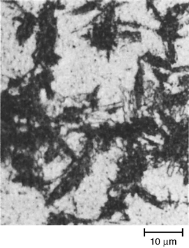 AISI S5 tool steel partially transformed at 540 C, upper bainite with martensite, 1000x